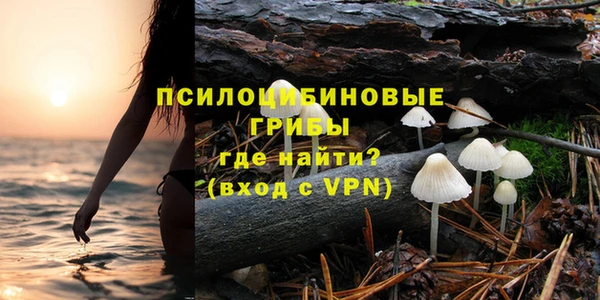 apvp Абаза