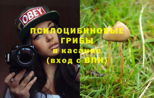 винт Абинск