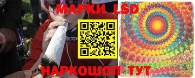 дурь Новодвинск