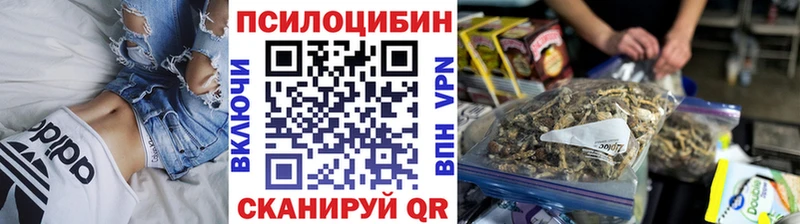 Псилоцибиновые грибы прущие грибы  Фурманов 