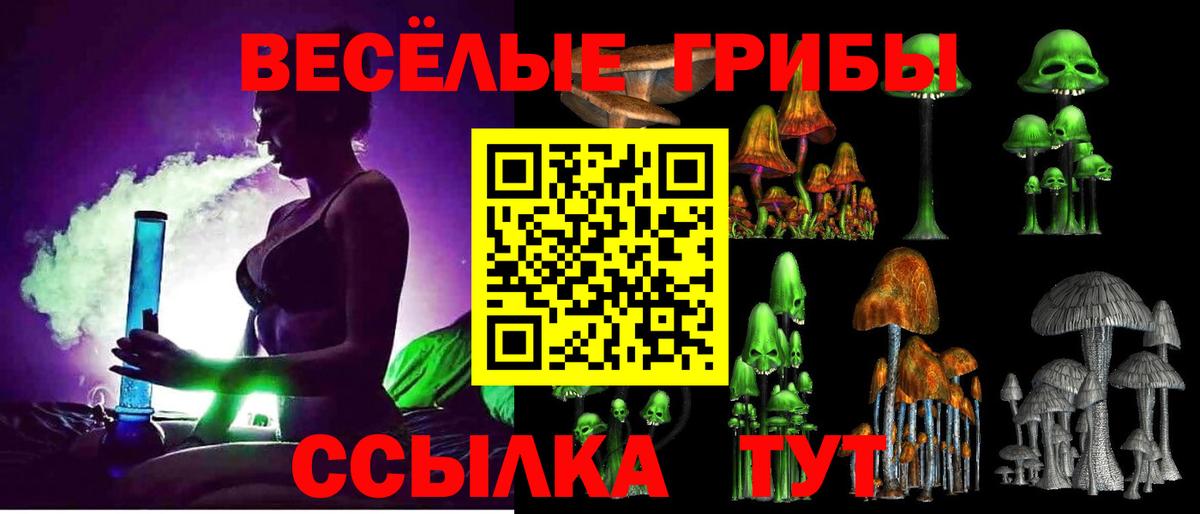 где можно купить   Вход с VPN  Фурманов  Псилоцибиновые грибы GOLDEN TEACHER 