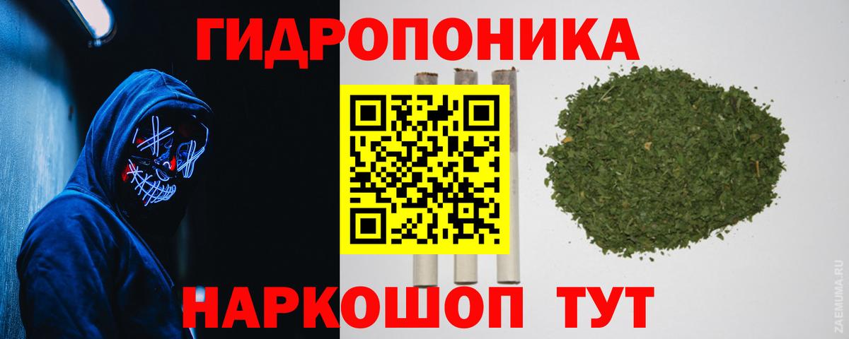 Каннабис SATIVA & INDICA Фурманов